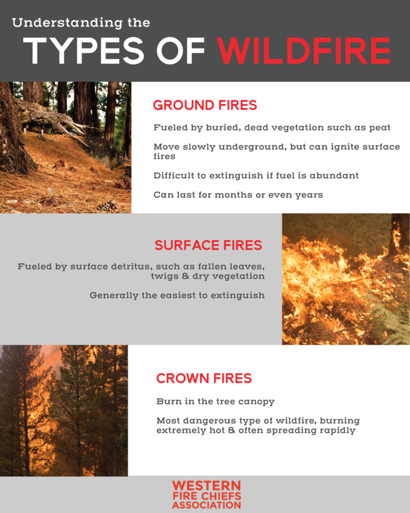 An infographic describing the 3 types of wildfire: ground fires, surface fires, & crown fires.