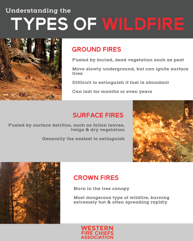 Understanding The Different Types Of Wildfires Wfca 8281