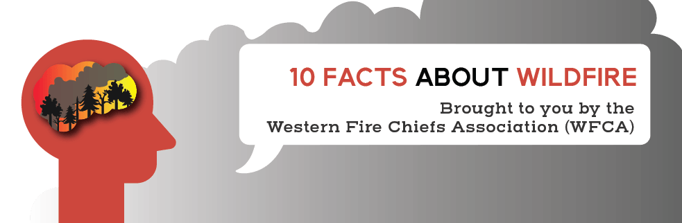 10 facts about wildfires WFCA