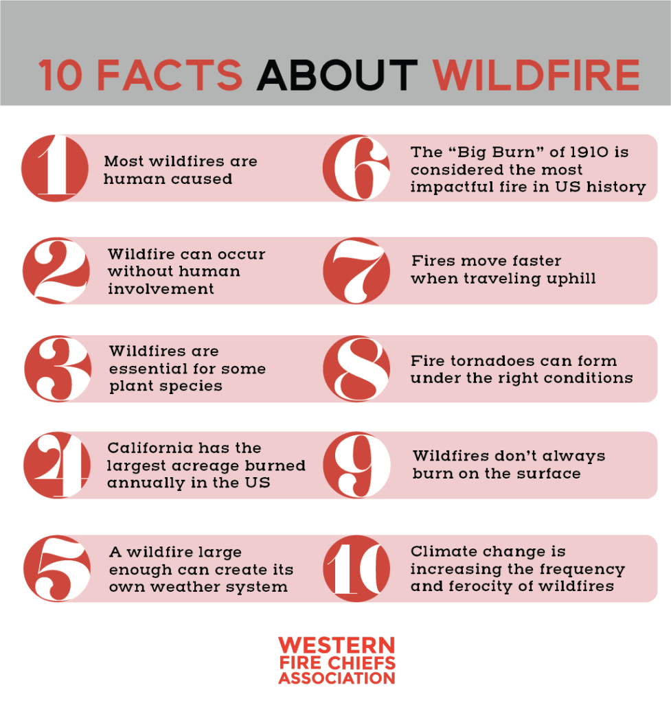 10 facts about wildfire list WFCA