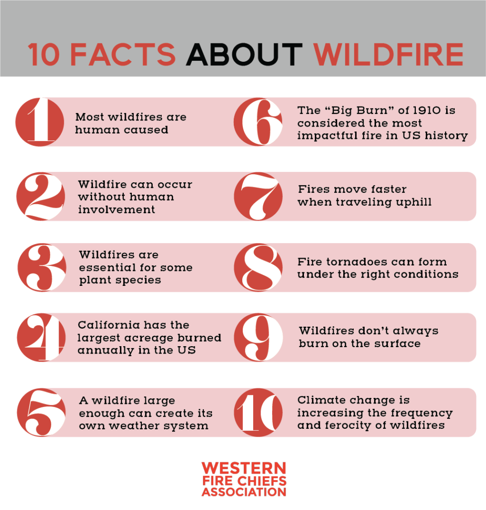 10 Interesting Facts About Wildfires Wfca 4083