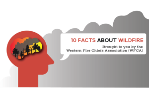 ten wildfire facts featured image