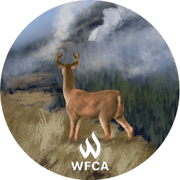 effects of wildfire circle deer wfca