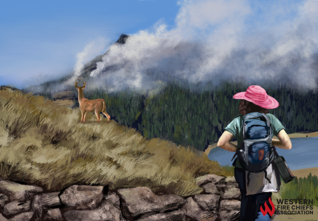 A hiker with a bag of gear and watching a deer on the grassy hill as smoke rising from forest in nearby. 
