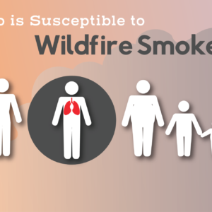 susceptible to smoke featured image