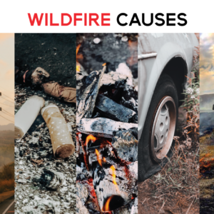 Five images of human causes of wildfire: electrical wires, cigarette butts, campfire, a flat tire, & a firefighter working on a wildfire.