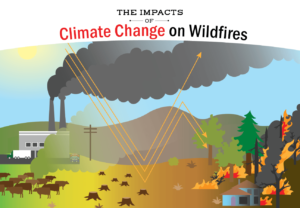 Climate change from factories, & industrial agriculture; deforestation; heat from the Sun; & altered weather patterns affects wildfires, no captions.
