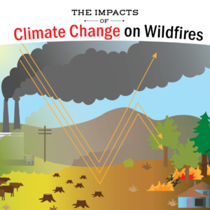 Climate change from factories, & industrial agriculture; deforestation; heat from the Sun; & altered weather patterns affects wildfires, no captions.