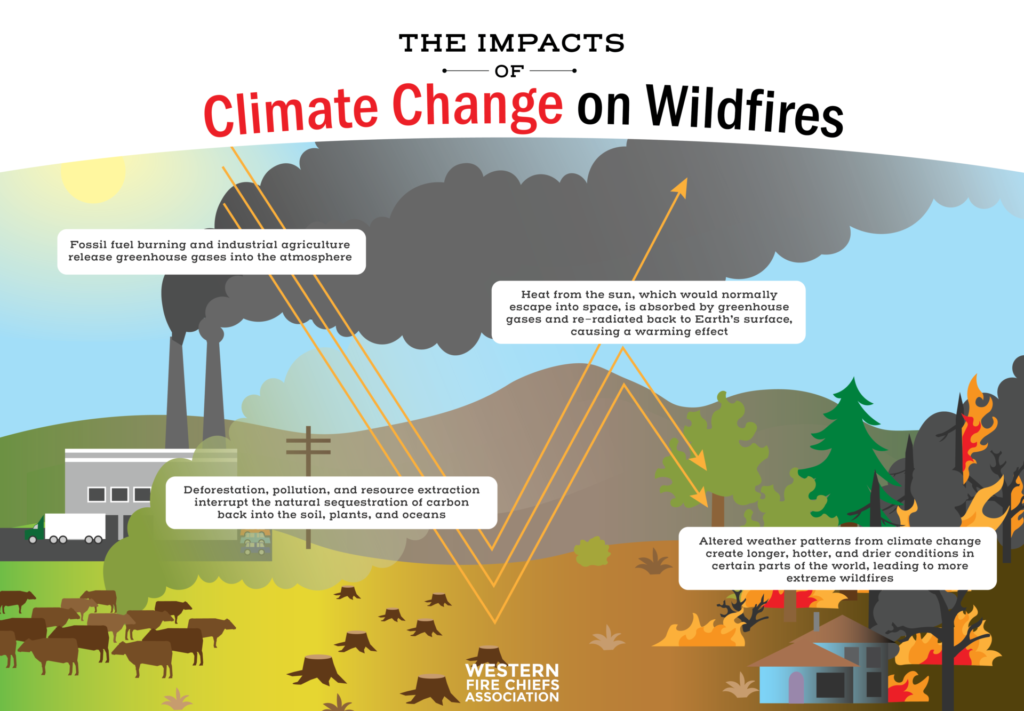 Climate change from factories, & industrial agriculture; deforestation; heat from the Sun; & altered weather patterns affects wildfires