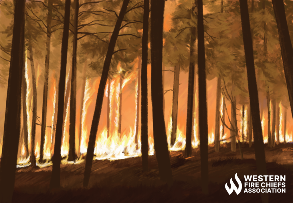 Fire spreads along the ground and up the trunks of trees in a forest.