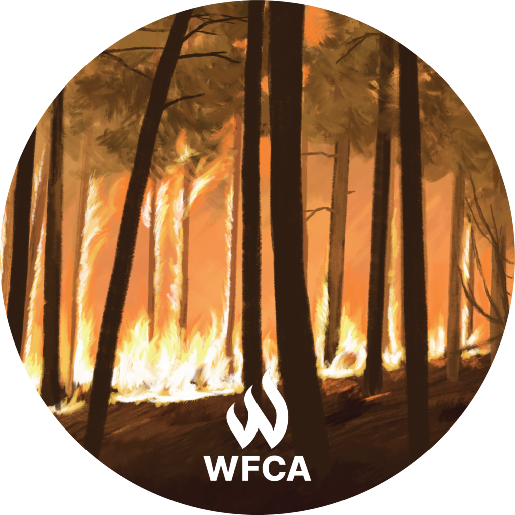 Are Wildfires Good for the Environment? WFCA
