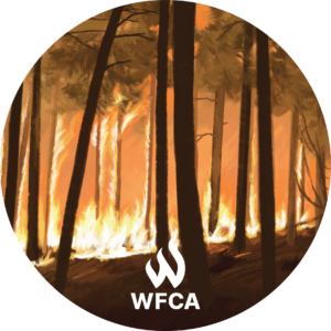 Fire spreads along the ground and up the trunks of trees in a forest. Circle image.