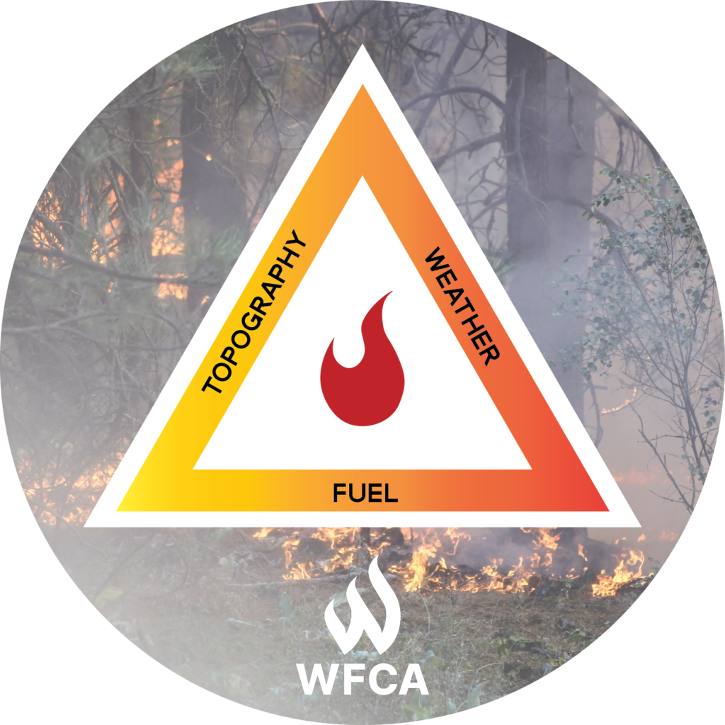 how-do-wildfires-stop-naturally-wfca