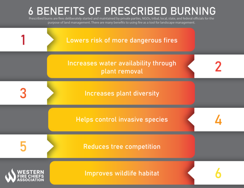 pros and cons of prescribed burns - list