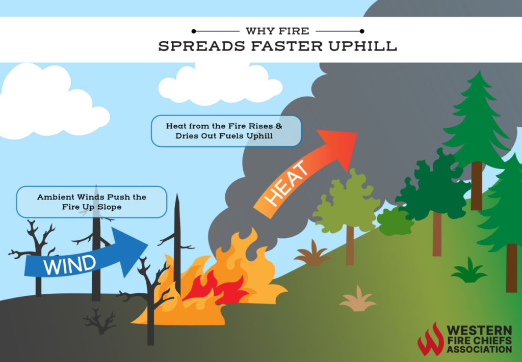 An infographic showing why fire spreads faster uphill. Wind pushes fire up a slope & heat from the fire rises to dry fuel uphill.