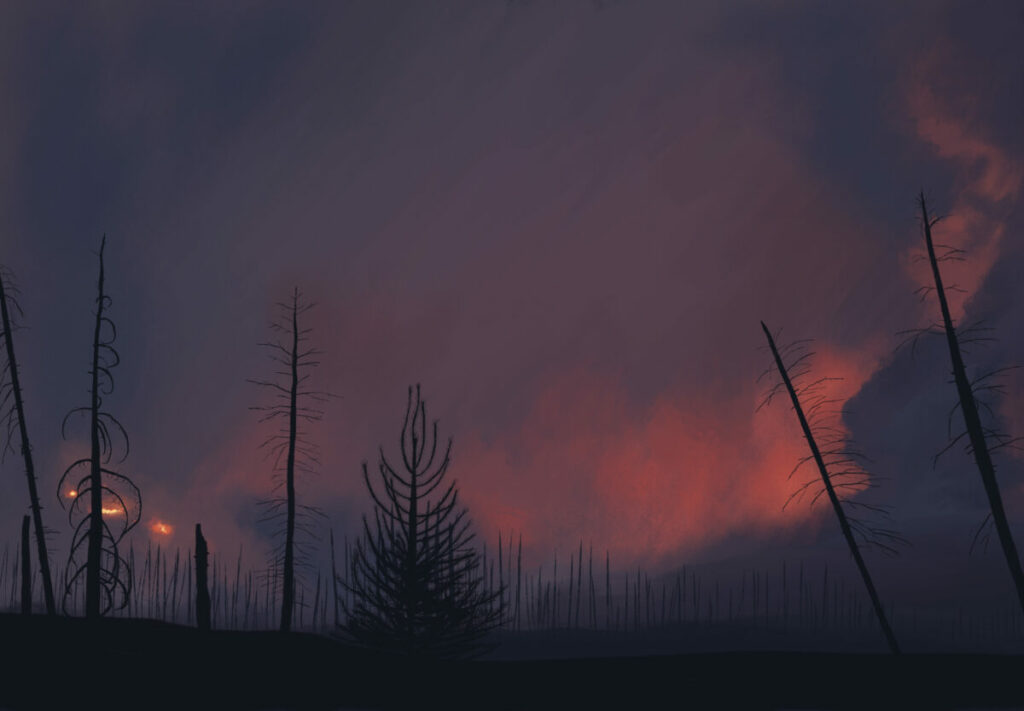 The outline of burned trees against a dark sky with reddish clouds. On the left, a few bright spots show small fires in the distance.
