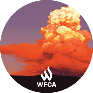 Circle image, banded WFCA, An orange cloud of smoke rising above a dark forest. smoke cloud high in the sky