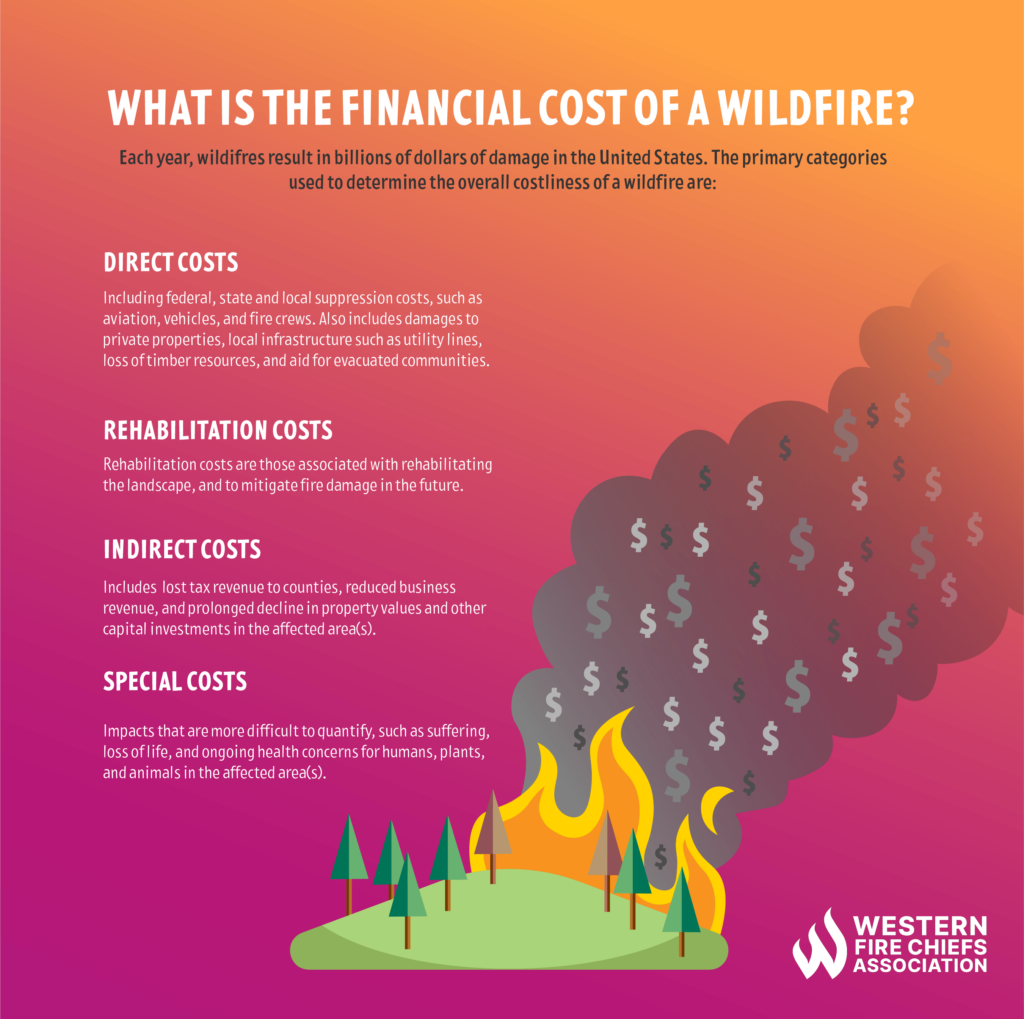A forest fire sheds dollar signs in smoke. The financial cost of a wildfire: direct & indirect costs, rehabilitation costs, special costs. 