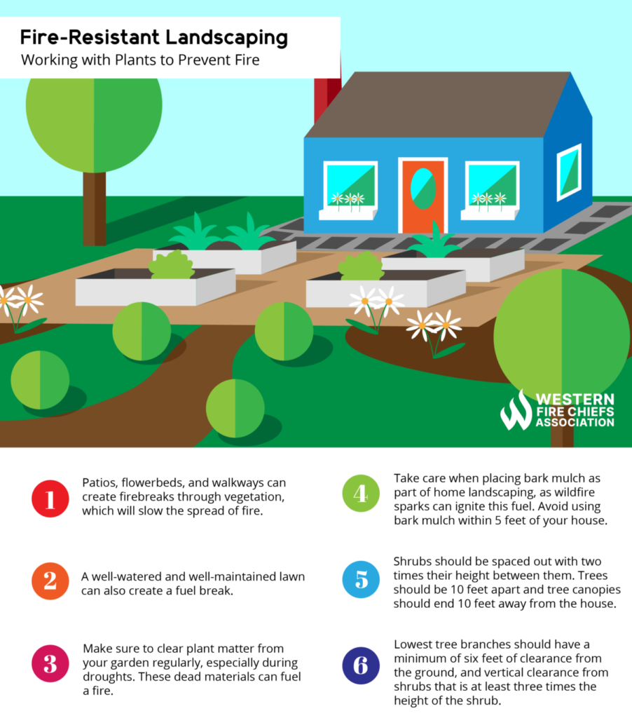 https://wfca.com/wp-content/uploads/2023/02/Fire-Resistant-Plants-diagram-01-902x1024.png.webp