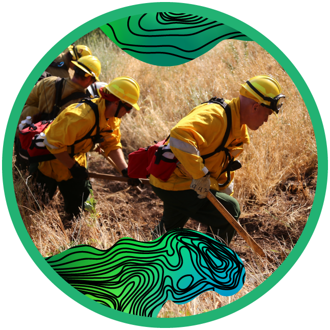 Firefighters dig a fireline in tall, dry grass. Blue-green organic shapes with black topographic lines cover the top & bottom of the image.