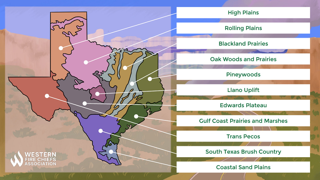 A map of Texas outlining 11 environmental regions, including plains, prairies, oak & piney woods, plateaus, marshes, & brush country.