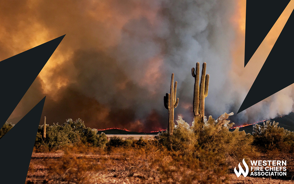 Saguaro cacti and brush stand in front of hillsides outlined in fire & smoky skies. Black triangles cover the left and right of the image.