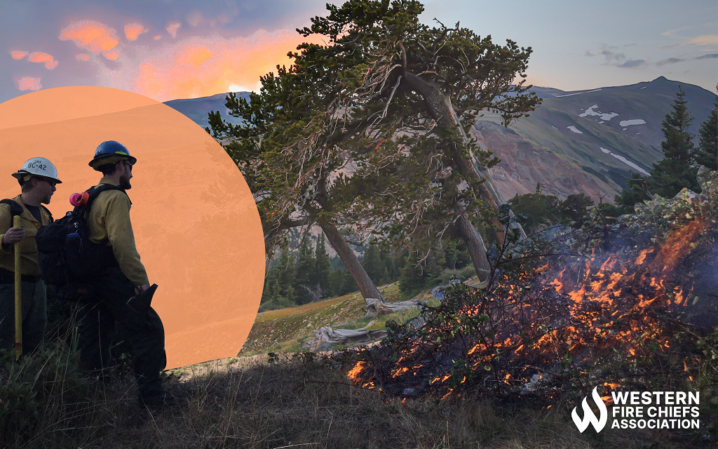 A brush fire burns in the foreground. Mountains rise in the background. Two firefighters are highlighted by an orange circle on the left.