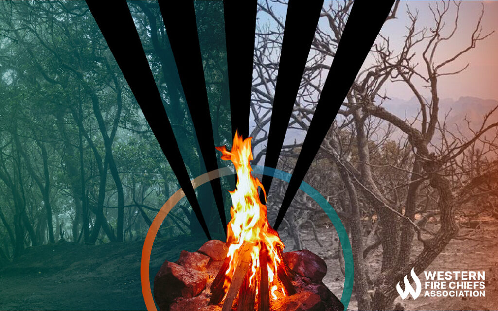 Black triangles separate images of a green forest on the left from burned trees on the right. The triangles emanate from a campfire.