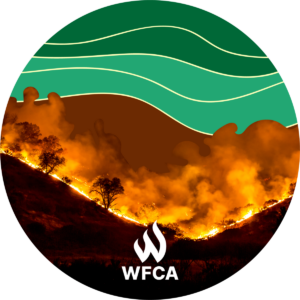 Tree line of a hill burning in the night with the sky covered by green and brown graphics.
