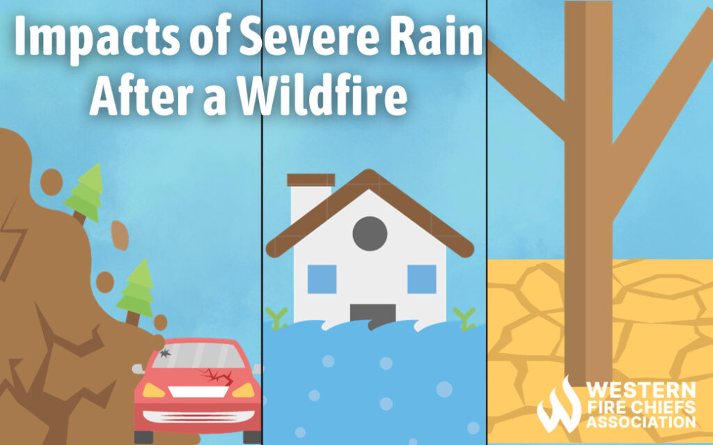 Impacts of severe rain after a wildfire