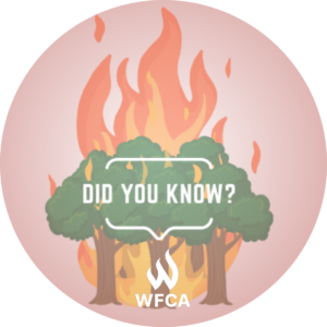 Wildfire Facts - Burning Trees with the words "Did you know?" - Branded Circle