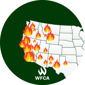 what to if you live in a wildfire prone area