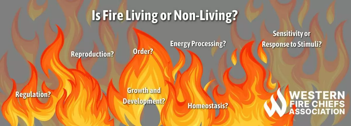 Is Fire Alive? | WFCA